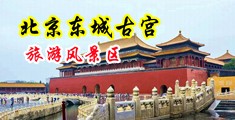 大机巴操小逼视频中国北京-东城古宫旅游风景区
